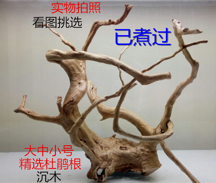 Cooked Landscaping Rhododendron Root Sinking Wood Water Grass Moss Tree Flow wood climbing pet box Grass tank Fish tank aquarium aquarium decoration