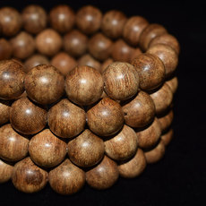 листья аквиларии