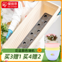 Alice flower pot 2021 new plastic king size rectangular long strip potted Alice balcony vegetable pot