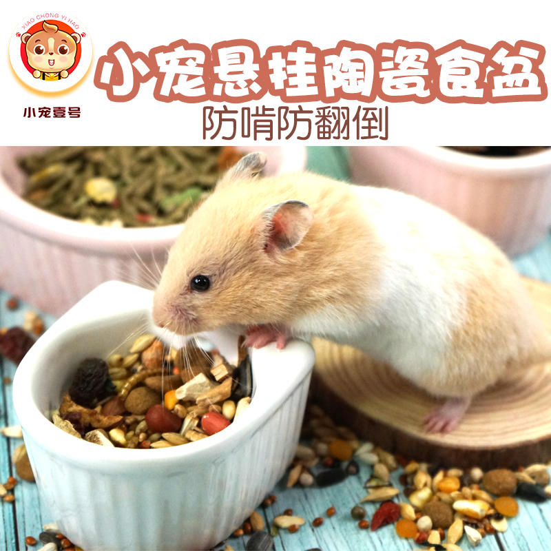 Hamster hedgehog ceramic bowl can be hung hanging bowl chinchilla squirrel rabbit food bowl rice bowl fixed anti-overturning