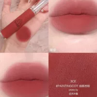 3ce Lip Clay#Paintingcot 