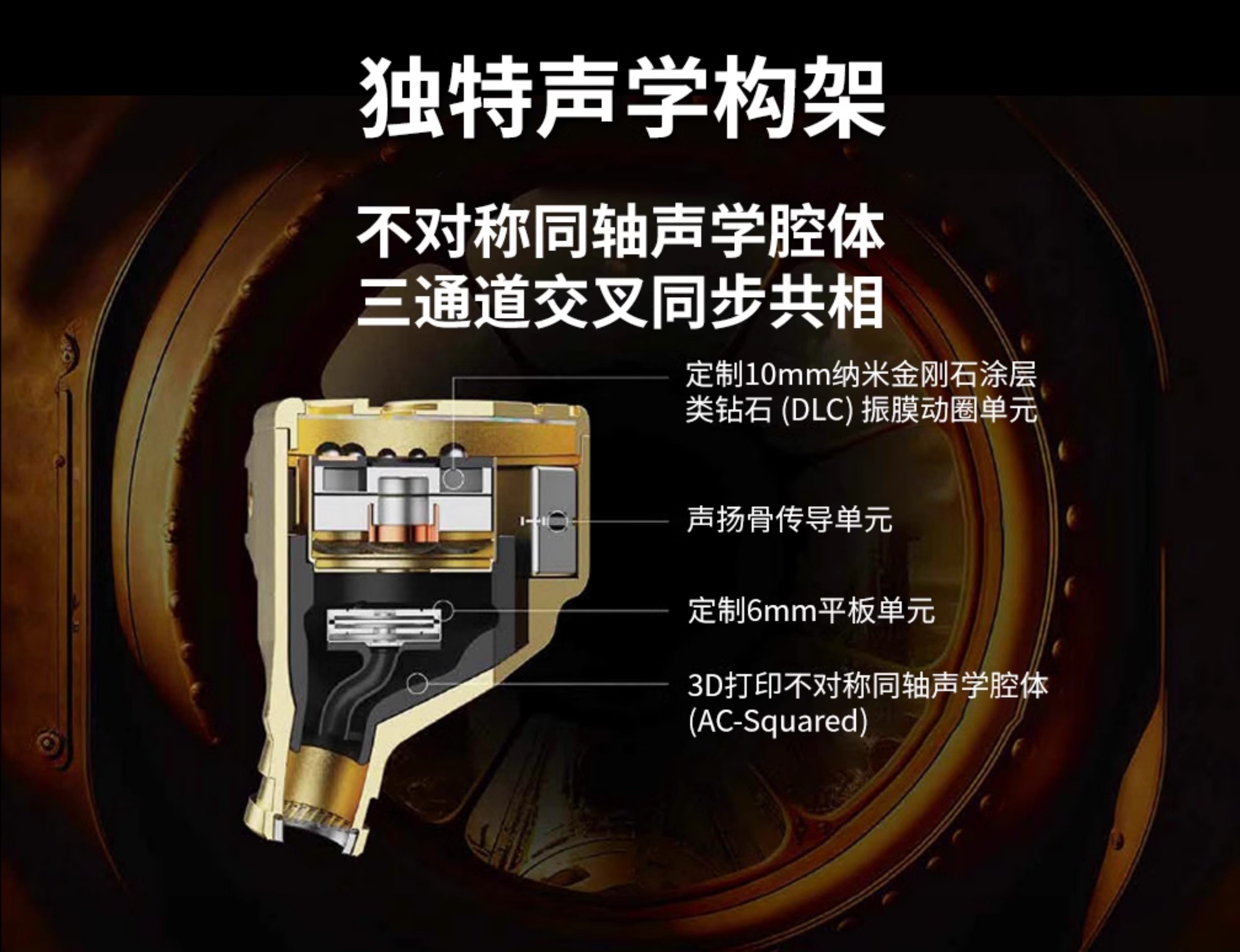 JOMO鹦鹉螺/Nautilus插图7 JOMO鹦鹉螺/Nautilus插图7