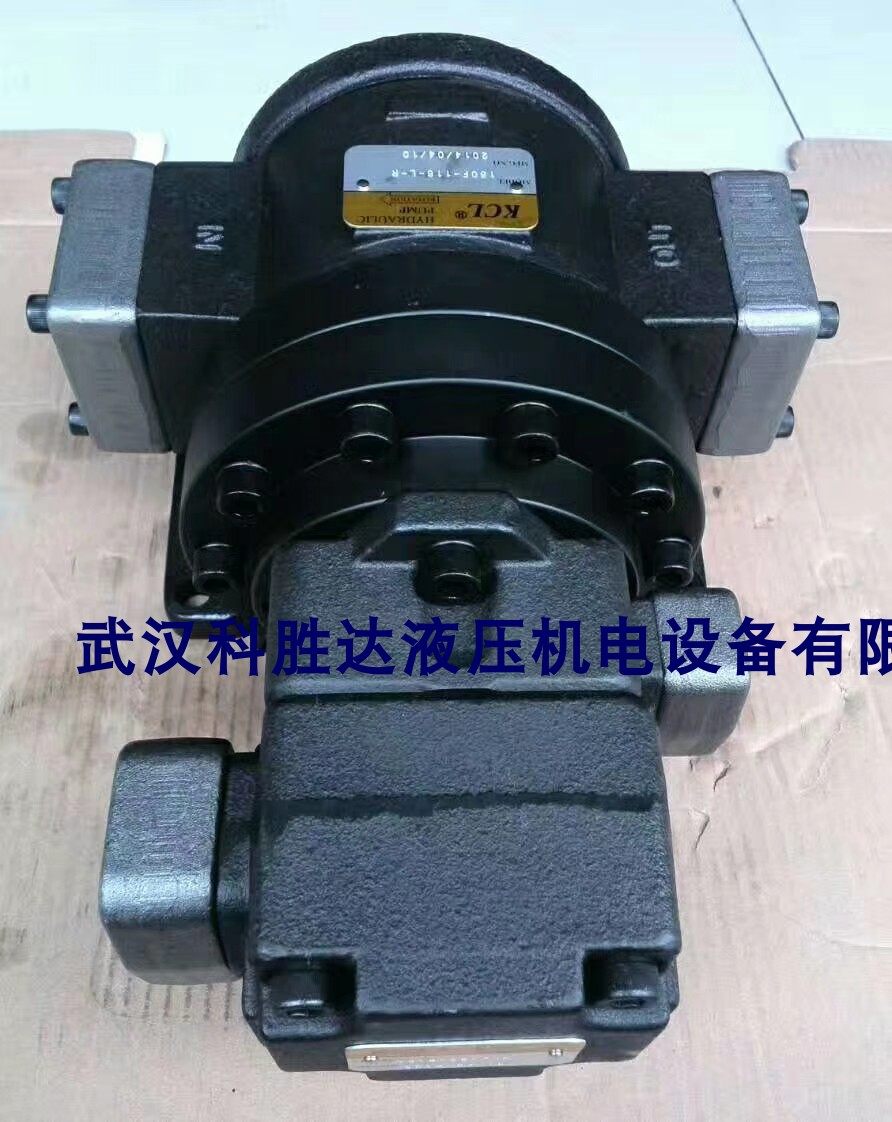 Kegia KCL Hydraulic Pump VQ2543FRRL01 High Pressure Dosing Vane Pump