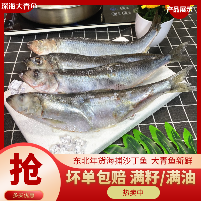 Fresh Green Fish Mackerel Sardines Sardines Russian Herring Fish Eggs Fish White fish wynfish fish frozen fresh fish 6 catties