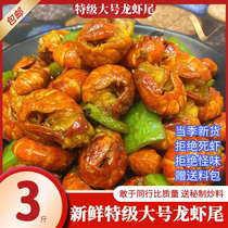 21 years live large extra large lobster tail Spicy shrimp tail Ready-to-eat lobster ball spicy crayfish 3 pounds