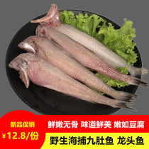Fresh tofu fish Fresh dragon fish filet nine belly fish Seafood Fresh aquatic sea fish 5 servings