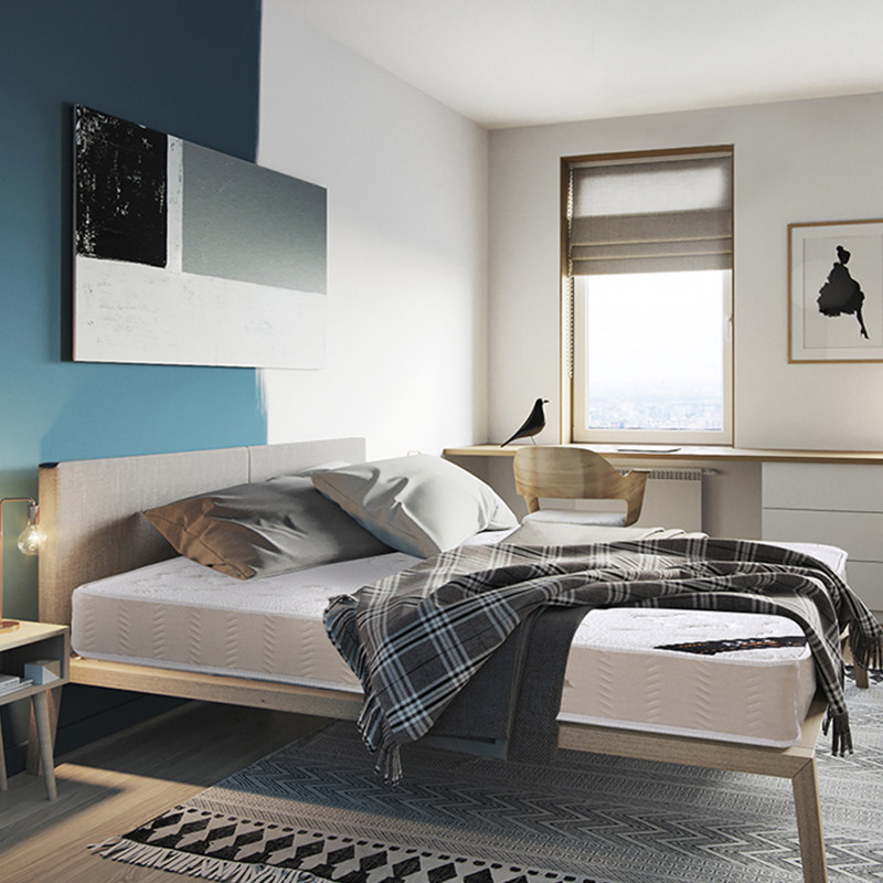 Bamboo Fiber Fabric Mat Dreams Hotel Independent Spring Mattresses Winter Summer Flip-floe 3D Natural Coconut Palm Cushion