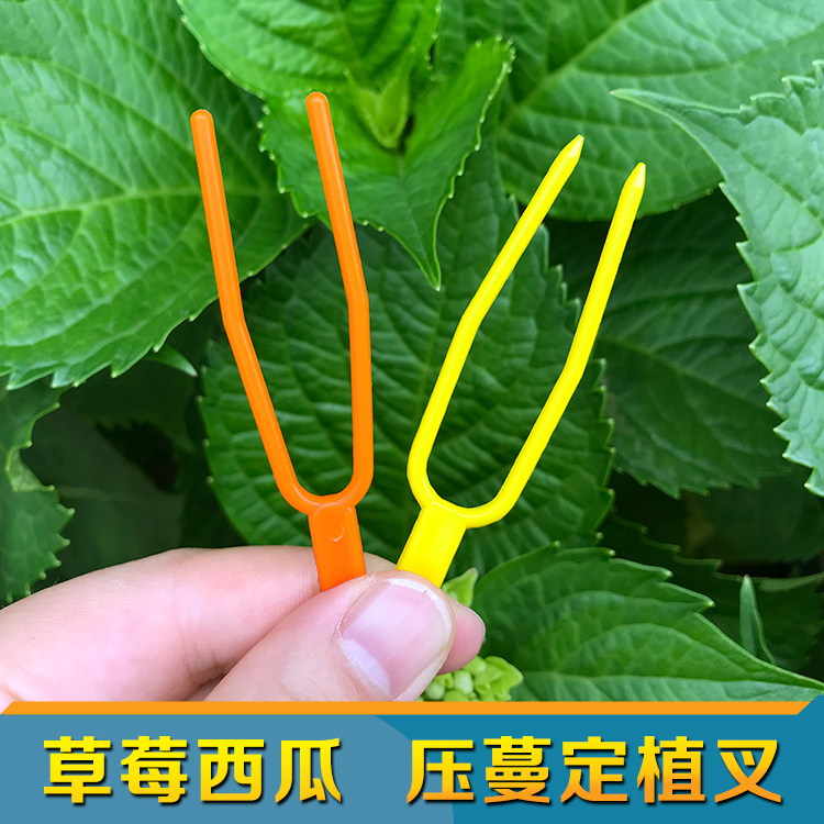 Sweet melon Watermelon Strawberry Vine tendrils press Miao Fork Fixer plastic seedling rooting and planting machine