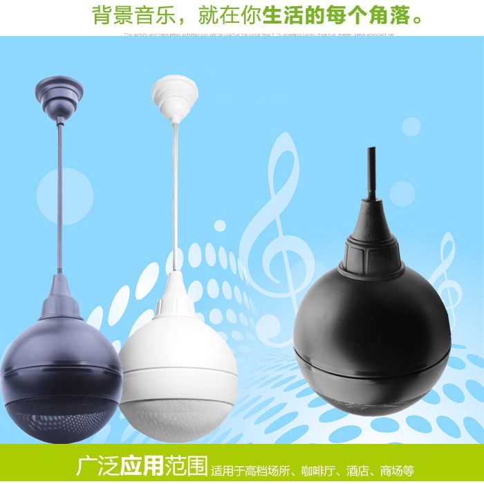 20W Coaxial Pendant Ball Sound Supermarket Bar Internet Cafe Dining Room Beauty Background Music Constant Pressure Suspended Horn