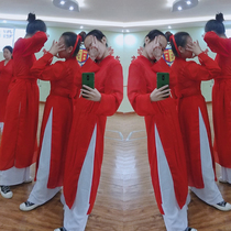 Chinese style red classical dance practice suit long skirt Pipa line dance performance suit Elegant chiffon suit female