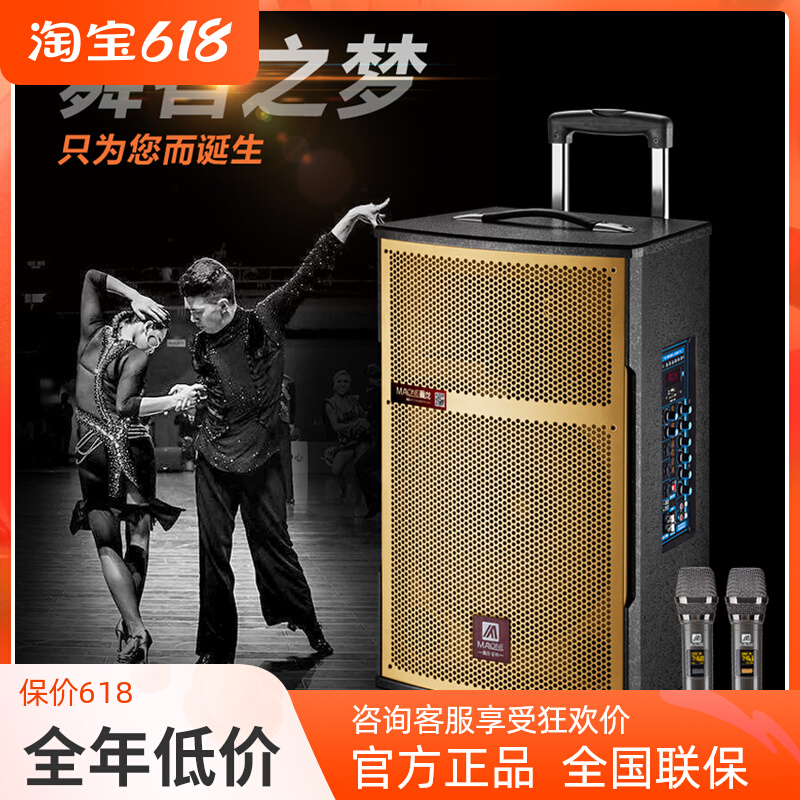 Manlong 10 12 15 15 inch horn instrument Conference Teaching Square Dance Outdoor Bluetooth Sound 212215