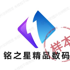 铭之星潮流轻奢手表