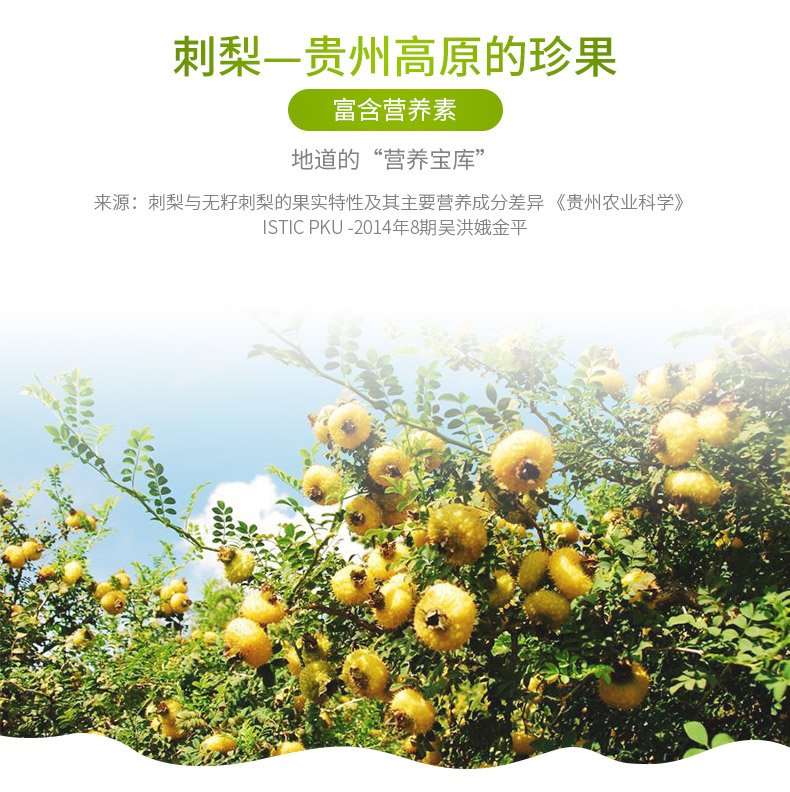 康恩贝儿童维生素C咀嚼片针叶樱桃