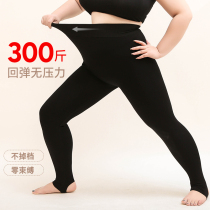 Homemade large size womens clothing plus velvet warm leggings fat mm autumn new all-match thin elastic pantyhose 300 catties