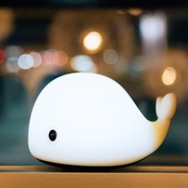 Creative cute dolphin light night light Whale pat light color change touch charging Bedroom bedside lamp Girl gift