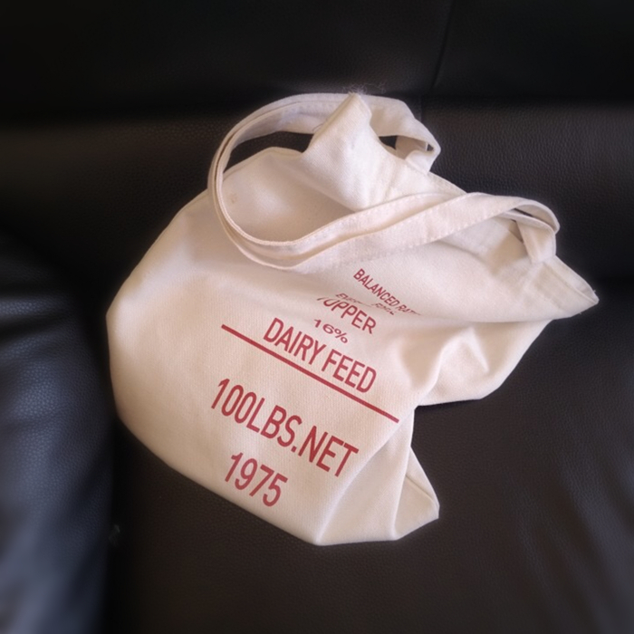 ins Japanese and Korean simple letters original small fresh canvas bag female literature and art environmental protection shopping bag one-shoulder student schoolbag