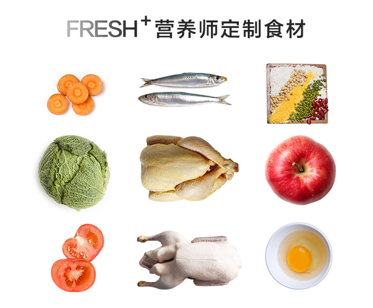 Thức ăn cho mèo Dibic vào thức ăn tự nhiên cho mèo 2kg vật nuôi phổ biến lông bóng mèo thức ăn cho cá thịt gà 4 kg - Cat Staples bán thức ăn cho mèo