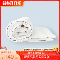 Quilt quilt core winter warm quilt core cover single double custom feather silk cotton quilt four seasons