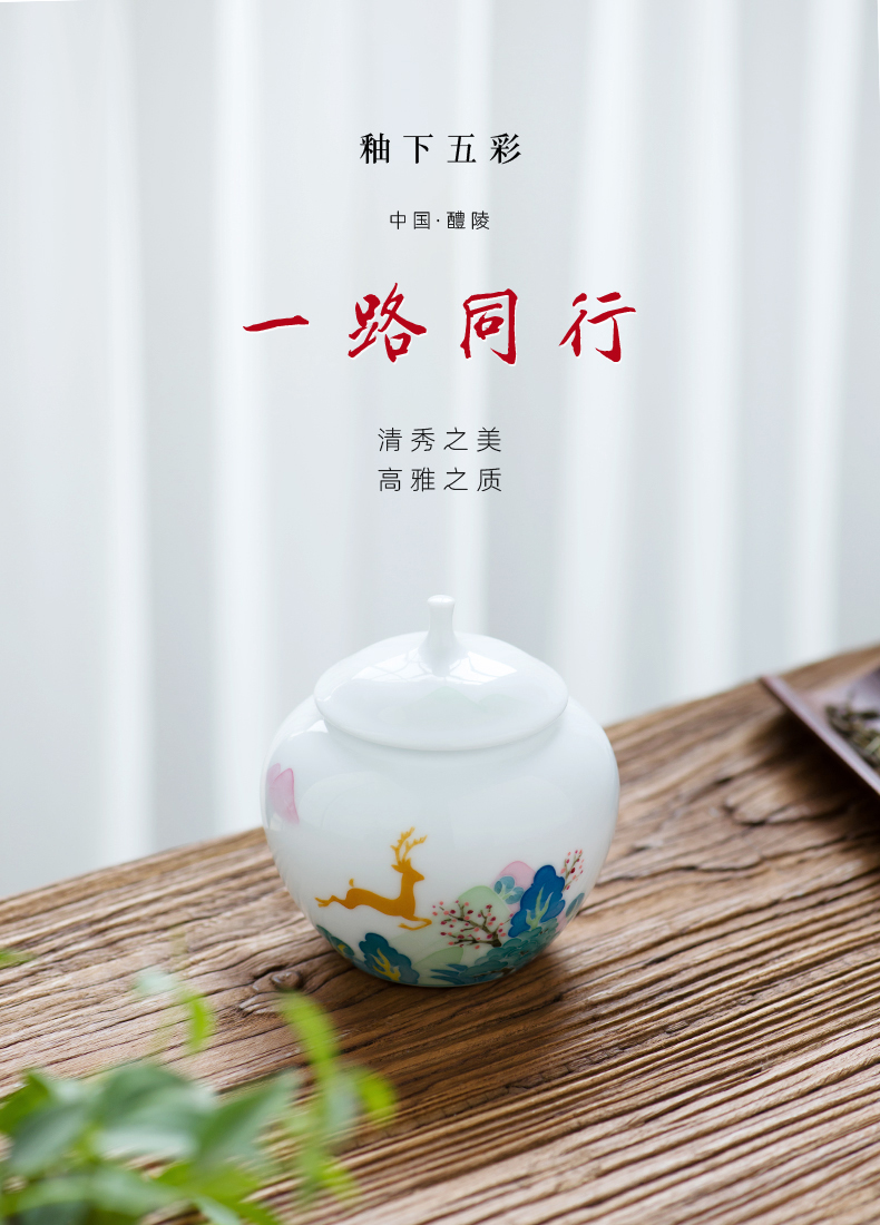 Caddy fixings ceramic high - grade seal pot home moistureproof receives the creative move fashion gift boxes, hand - made storage tanks