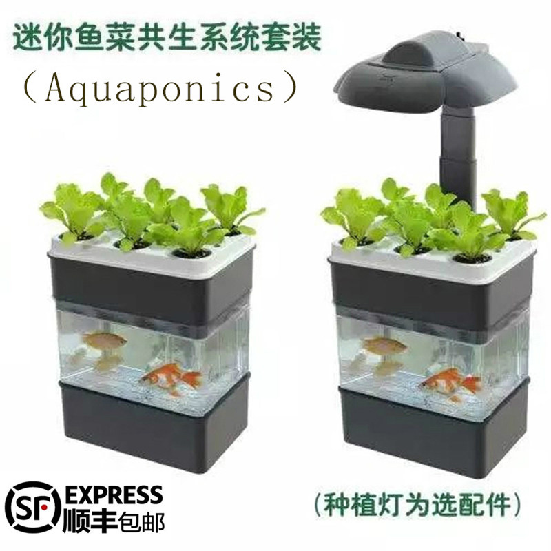 生態魚缸水族箱迷你魚菜共生系統小型桌面金魚缸免換水diy水培