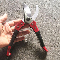 Bonsai tool pruning shears branch scissors garden scissors gardening scissors fruit tree scissors flower and wood scissors