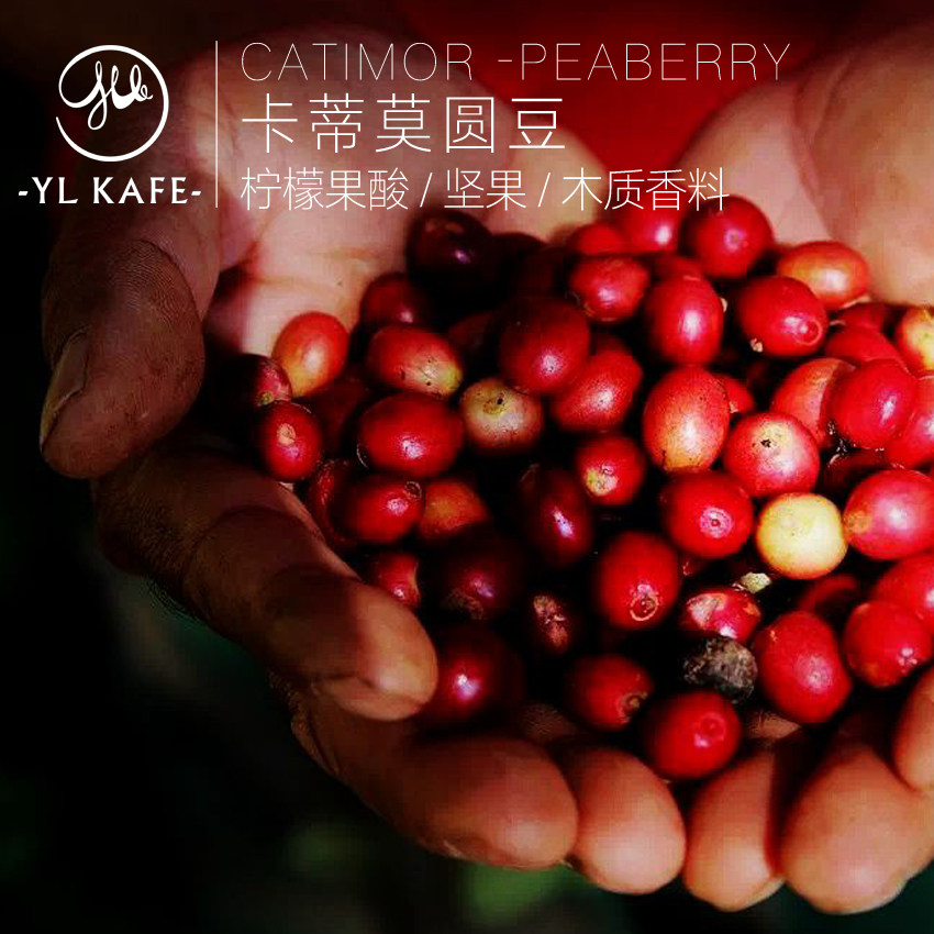 YLK Yunri Café Fresh Baking Boutique Yunnan Small Grain Coffee Katimo Round Bean Half Pound 227g
