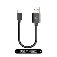 Apple, короткий, 0.2м