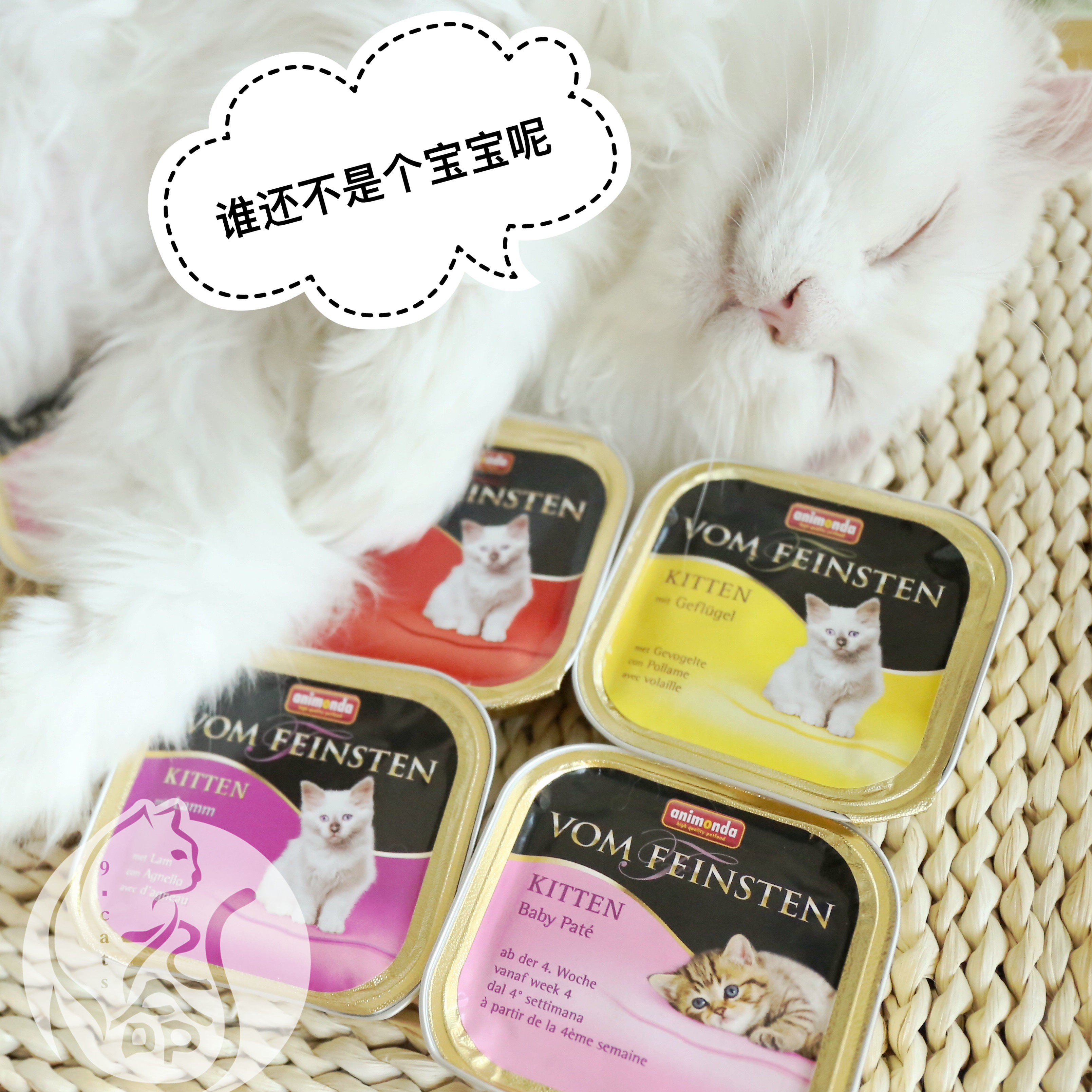 vom meal box imported from Germany cat canned baby cat meal box kitten mousse milk cake wet food staple food can 100g