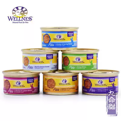 Spot American WELLNESS Canned Cat Wet Food Staples Canned Milk Cake 85g155g Staples