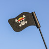 Pirate flag