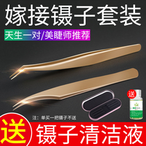 Grafting eyelash tweezers high precision flowering beauty Zimi teacher tools dolphin tweezers beginner set