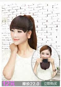 Extension cheveux - Chignon - Ref 247909 Image 7