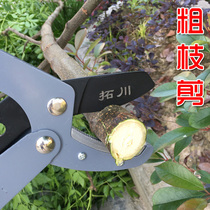 Tuochuan garden flowers and trees Greening rough branch shears aluminum alloy telescopic strong shear horticultural Greening hedge picking fruit branch shears