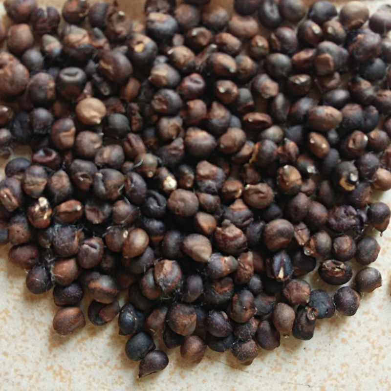 Kapok seed traditional Chinese medicine pillow core kapok seed pillow sleep aid Panzhihua cervical vertebra pillow natural pillow core bulk filler