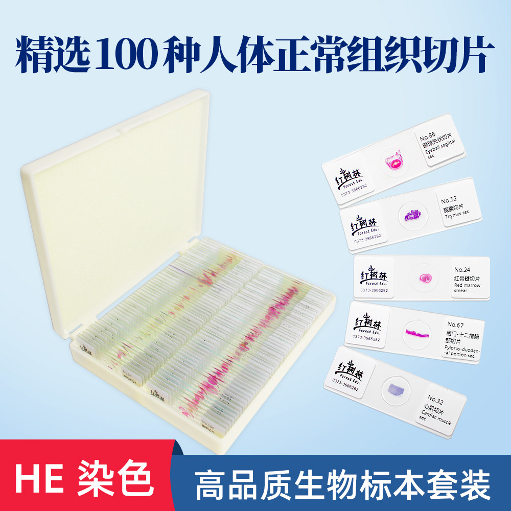 精选100种人体正常组织切片FRT2001高教品质HE染色医学解剖组织学
