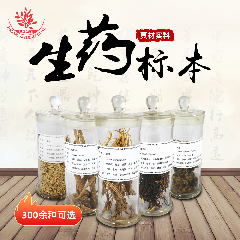 中药生药标本植物馆标本馆药店展示展览玻璃瓶装可长期保存中草药