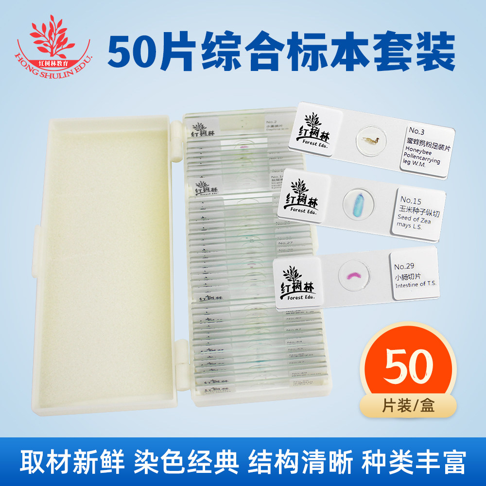 50片装生物显微镜标本切片标本清晰易观察学生科学实验用显微玻片