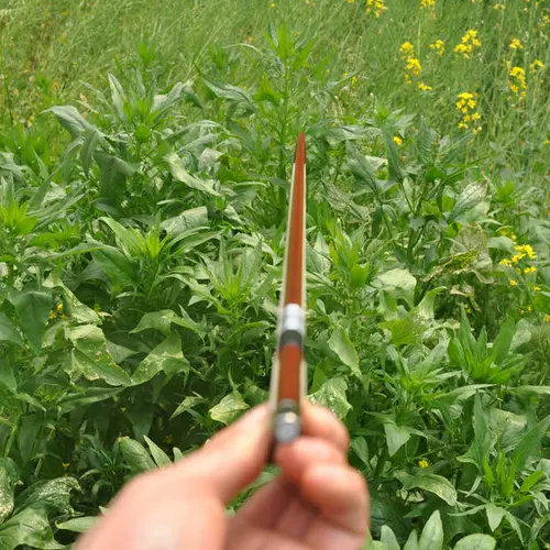 僵 彁鐞 彁鐞 彁鐞 epe 叓 掑紦 瀛 瀛 澶 澶 彁鐞 彁鐞 紦鏉 鍐呰 挋鍙 ら ┈ ┈ ┈ ┈ ┈ ┈ ┈ ┈ ┈