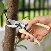 Pruning shears gardening scissors pruning branches branch cutting branch picking garden tools thick branches flowers and trees