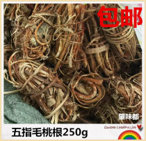 Five fingers Maotao root wild mountain five catch Dragon root farm dry goods Heyuan specialty milk root nourishing soup 250g