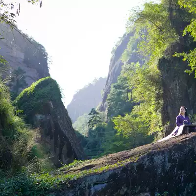 2021 Tea Girl Tea (Zhengyan Niulankeng Cinnamon)