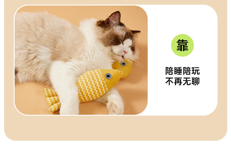 猫玩具自嗨猫转盘球小猫解闷逗猫神器游乐盘套装宠物用品猫咪玩具插图2