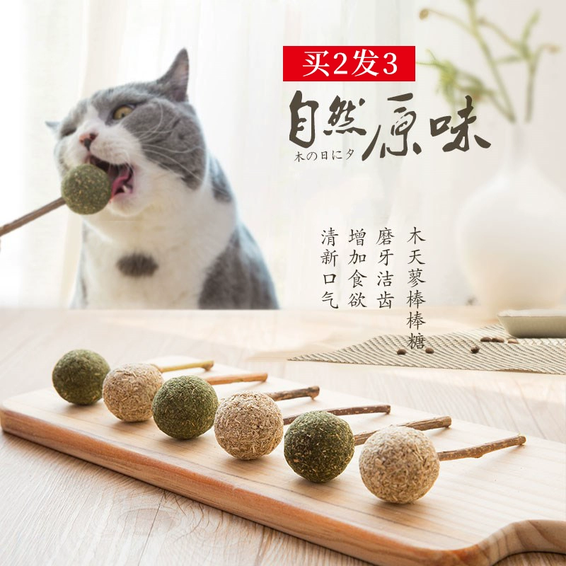 Lollipop mèo đồ chơi bạc hà bóng gỗ Tian Li mèo cỏ đồ ăn nhẹ mèo vui nhộn thanh gậy mol mèo con mèo con cung cấp - Mèo / Chó Đồ chơi