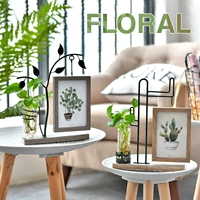 Creative Northern Europe Simple Iron Mid Woods Creative 6 -INCH Photo Photo Body Black Press Living Room Office Office Desktop Hydroponic Dise