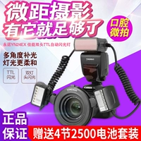 永诺 YN24EX Canon Double Furlight TTL Full -Automatic SLR -камера Враня вкусы микрофона, зубы, цветок насекомых, птица и птица, макро -двойная фотография освещение
