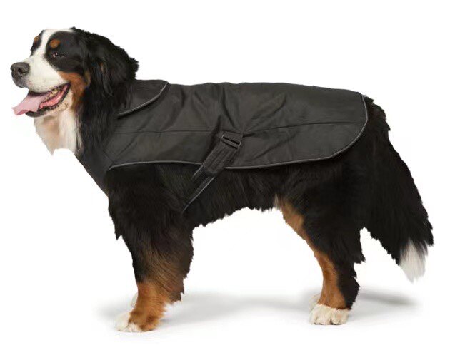 UK's original single Swedish design brand pet two-in-one submachine clothes 