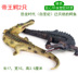 Giống như đồ chơi mô phỏng rồng cá sấu Jurassic Cretaceous mô hình động vật khủng long Spinosaurus Teenere giống như đồ trang trí rồng cá sấu - Đồ chơi gia đình xe đồ chơi trẻ em cao cấp Đồ chơi gia đình