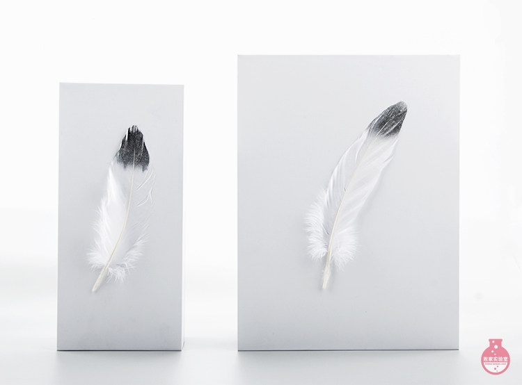 Подарочная коробка 【败家实验室】礼轻情意重！败家·礼品包装服务 节日|生日礼物