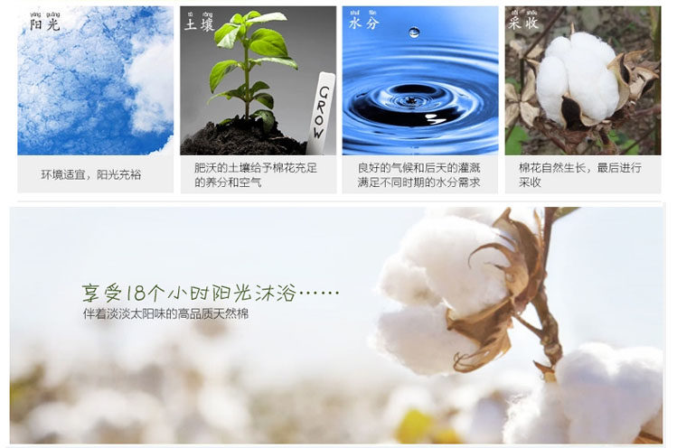 survêtement sport - Ref 564593 Image 30