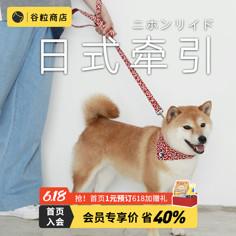 Dog Traction Rope Matchup Dog Teddy Kirkie Out For Rope Day Style Item Ring Walking Dog Rope Small Medium Dog Don Grass Traction